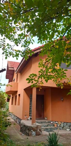 Casă și spatiu comercial  - 7