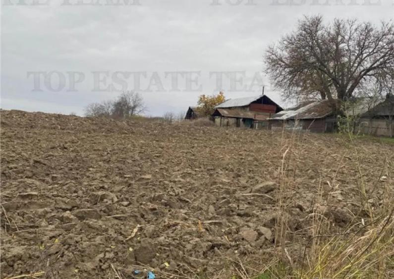 Teren 12223 mp in Prahova - 3