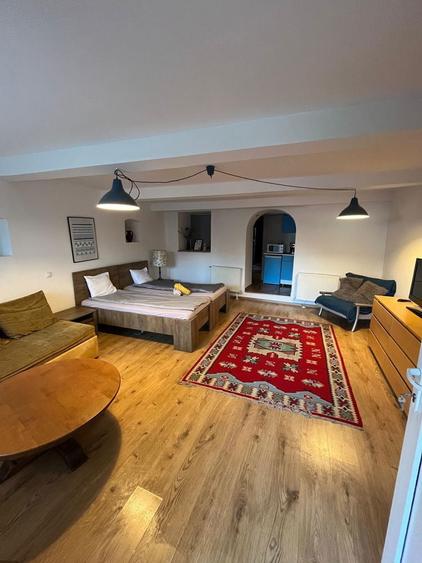 Casa Vila Apratament 1 2 3 camera camere garsoniera pensiune hotel - 3