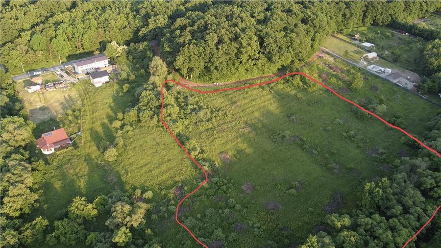 Teren intravilan la liziera padurii Cisnadie -Tocile,14.100mp cu PUZ - 6