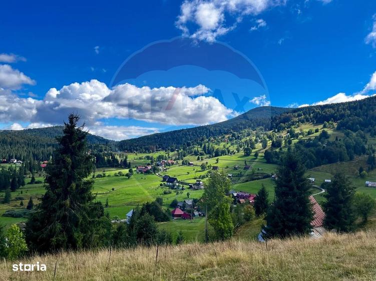 Oaza de liniste in inima Apusenilor teren 6.500 mp Arieseni - 3