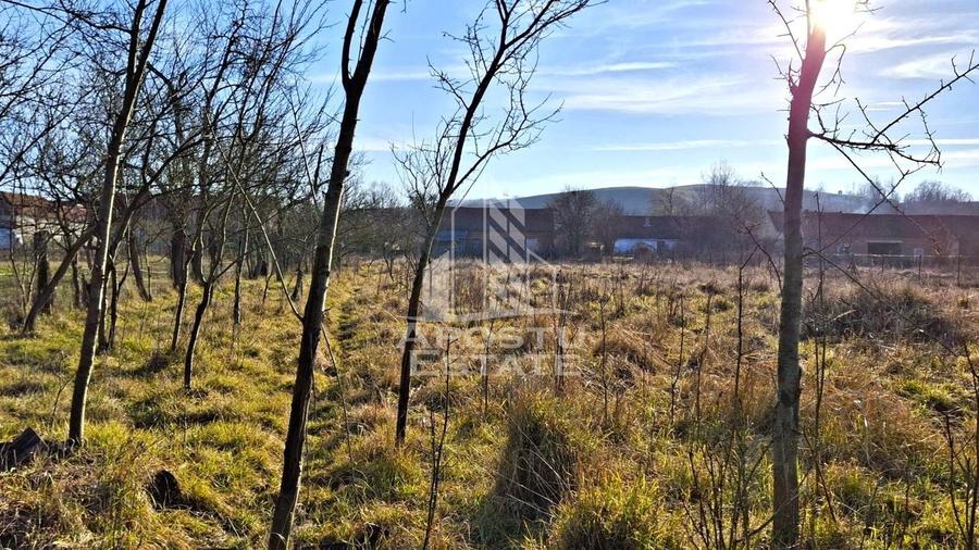 Casa de caramida in Tela si Teren Generos de 4320 mp - 24