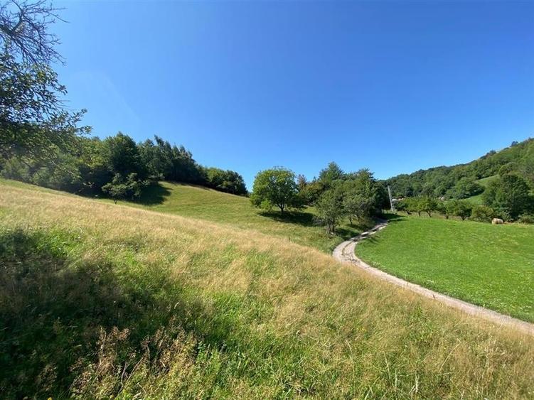 RECO Casa cu teren in Damis zona Valea Bratcutei - 2