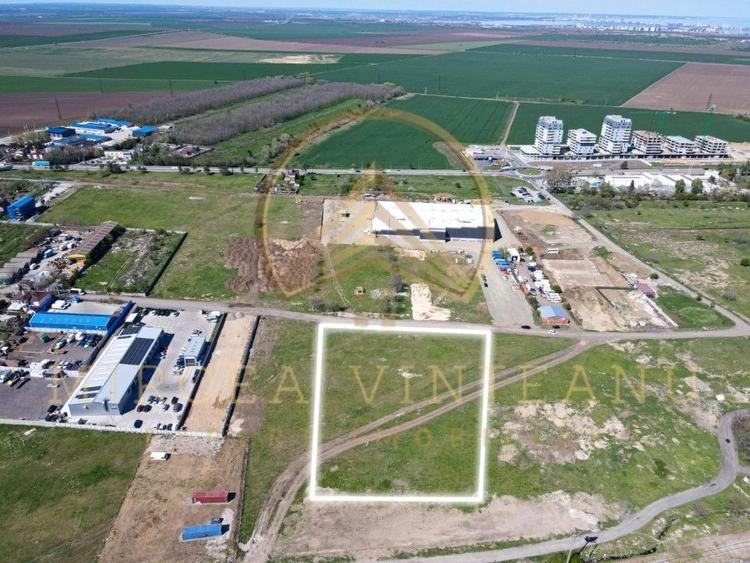 Palas /Vaporaș / Dacia - Renault - Teren intravilan 4100 mp cu deschidere 41 ml. - 2