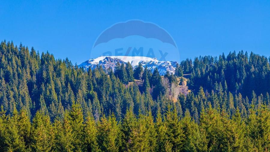 COMISION 0% Teren 13,800mp Fundatica / Intravilan - 14