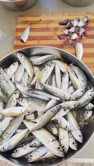 Vanzare 10000 mp plaja virgina,Constanta Vadu la Cherhana Bosoanca drum pietruit - 5