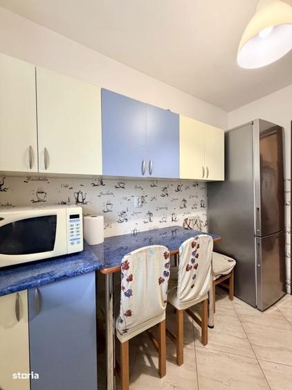 Apartament in Fizicienilor - Camil Ressu - 11