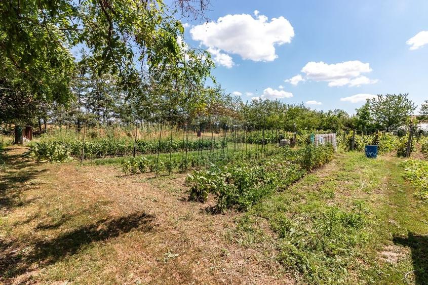 Casa+Laborator+ Teren 12.700 mp + casa de vacanta - Bolintin Vale - 59