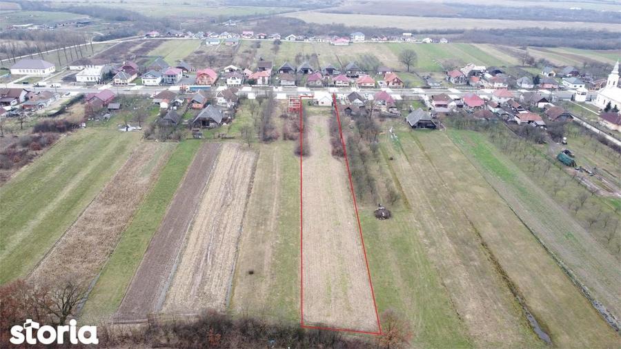 Casa cu 3 camere, renovata integral | Teren 4.748 mp | Borlesti - 10