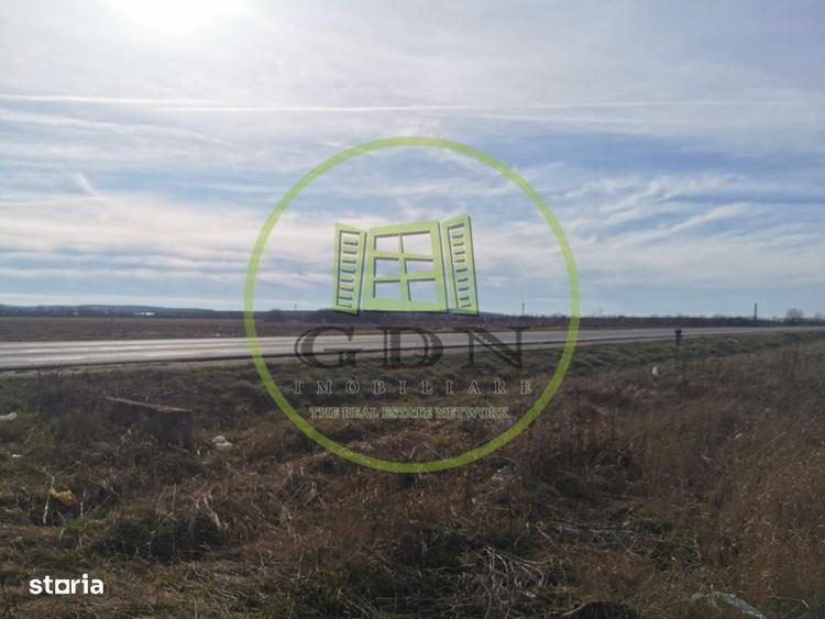 Teren extravilan de vanzare in Sacadat, 21.496 mp, cu deschidere de 42 - 1