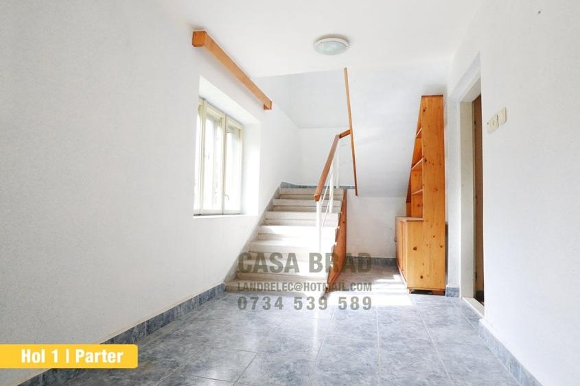 Casa mare cu ~4000mp teren plat, in zona verde, linistita, in orasul Brad, HD - 9