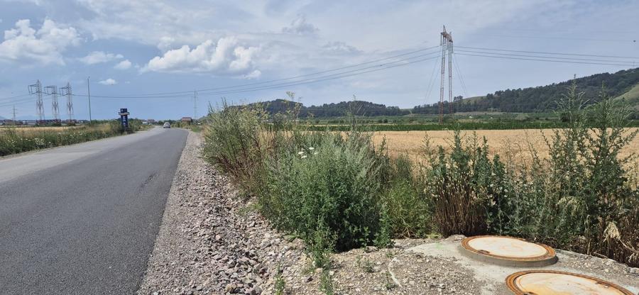 Teren  intre Sanpetru si Harman  la Drumul judetean - 1