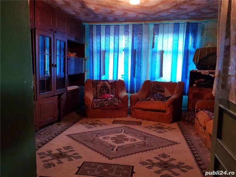 Vand casa de vacan?a Farliug - 9