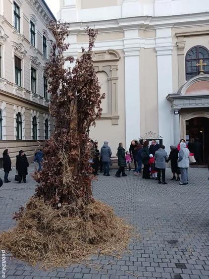 Vand casa in Bazo?u Nou - 4