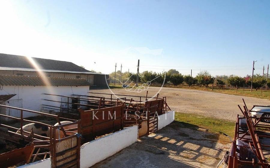 De vanzare ferma N.Balcescu - 8