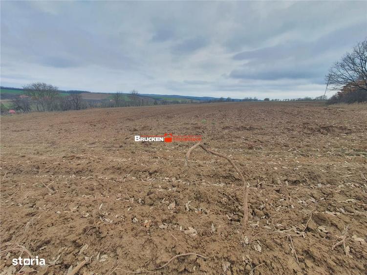 Teren de vanzare - 2