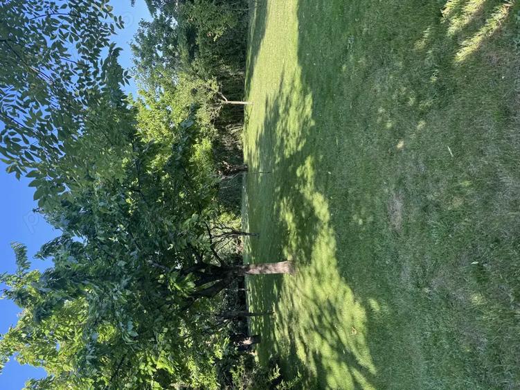 Vand proprietate deosebita in Bragadiru-Prelungirea Ghencea. - 5