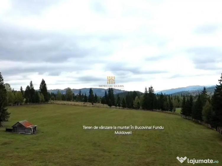 Teren 2804 mp, la munte! In Bucovina Fundu Moldovei! - 9