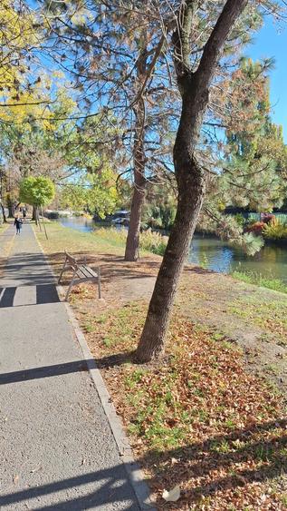 Paltim - Apartament spatios cu 4 camere 109 mp utili, etajul 1, langa Bega - 7