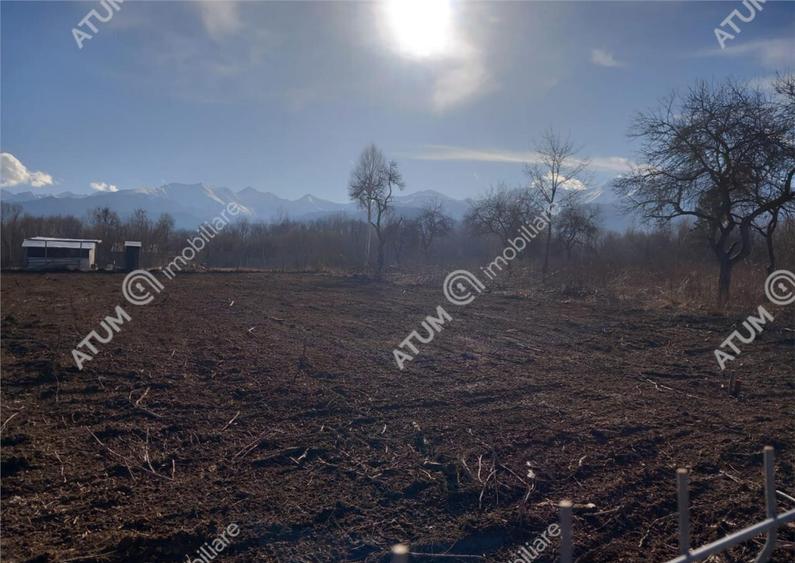 Teren intravilan de 1900 mp in Avrig zona Valea Avrigului - 2