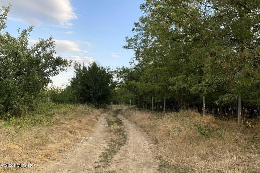 	Corbeanca - Tamasi, intravilan, 16562 mp, deschidere 93 m, rezidential! - 2