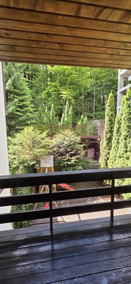 Apartament cu 2 camere de vanzare in Sinaia - 7