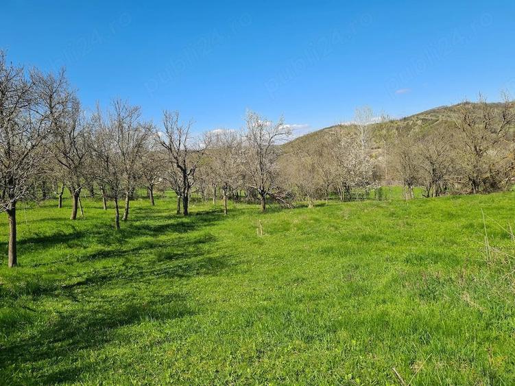 Vand teren in Com . Dumitresti, Jud. Vrancea - 9
