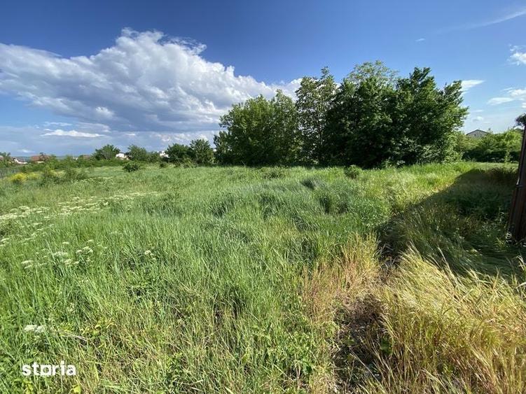 Teren Cetate zona DSV Brandusei - 1