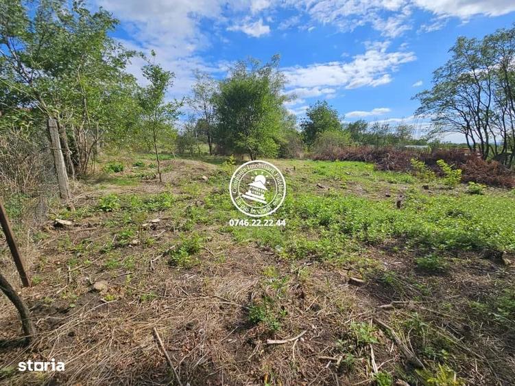 Teren intravilan 904 mp, langa padure - Aroneanu , Iasi - 6