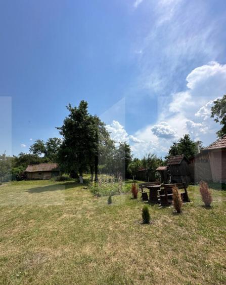 Casa taraneasca in inima naturii - 11