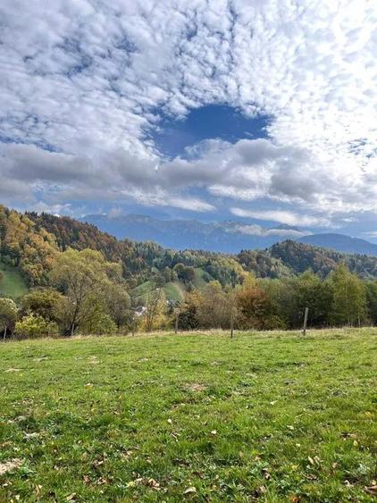 PROPRIETAR - 3274 mp intravilan Simon (BRAN) - 4