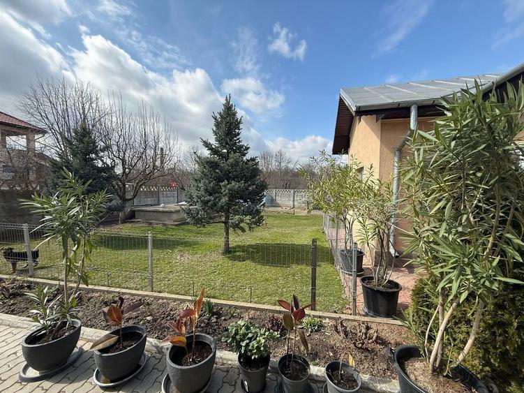 Casa de vanzare Caciulati Moara Vlasiei - 6