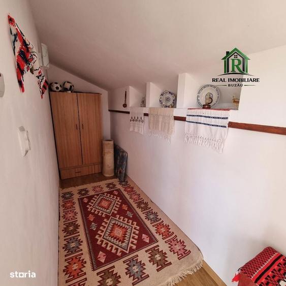 Casa de vacanta Vernesti- Niscov - la padure ! - 4