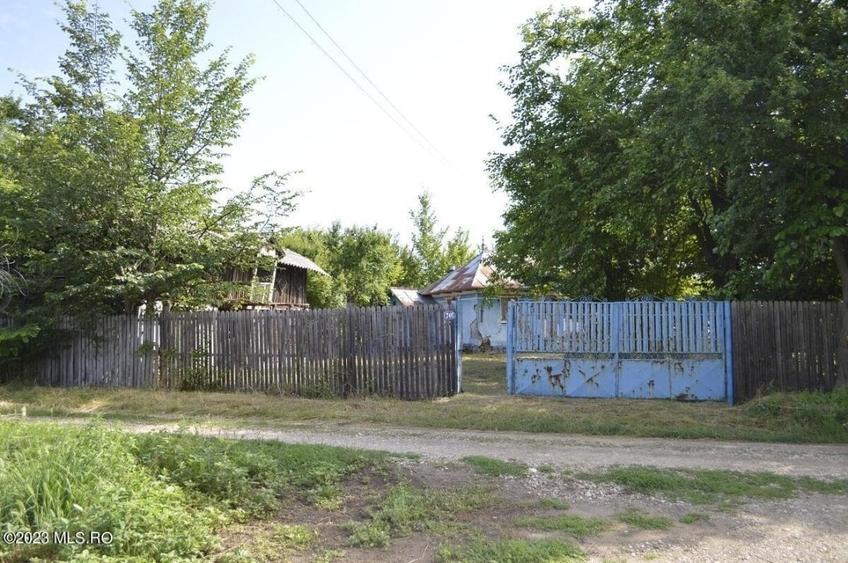 Suseni - Teren intravilan cu casa batraneasca, plan, suprafata 4700 mp! - 2