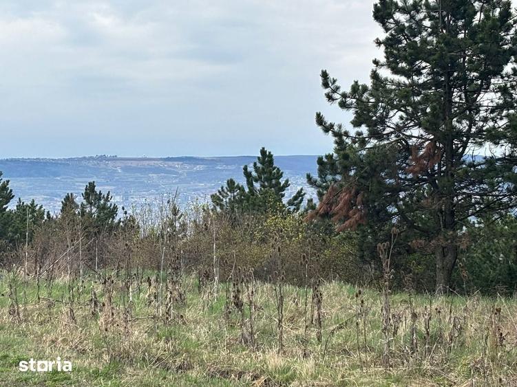 Teren cu panorama/ Dealul Fanatelor-7 km de Auchan - 3