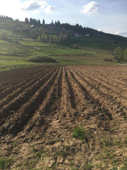 Teren de Vanzare in Marisel, CLUJ - 3