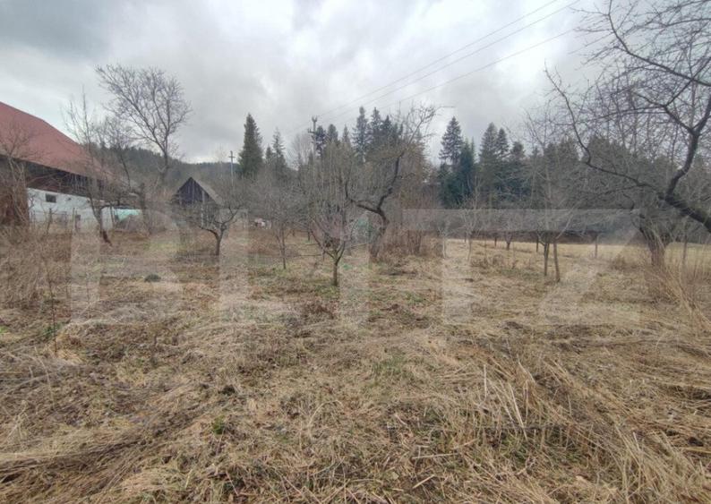 Casa individuala ,2500 mp teren, in Putna - 9