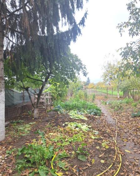 2 case lipite, ideale pentru 2 familii Harman, la doar - 18