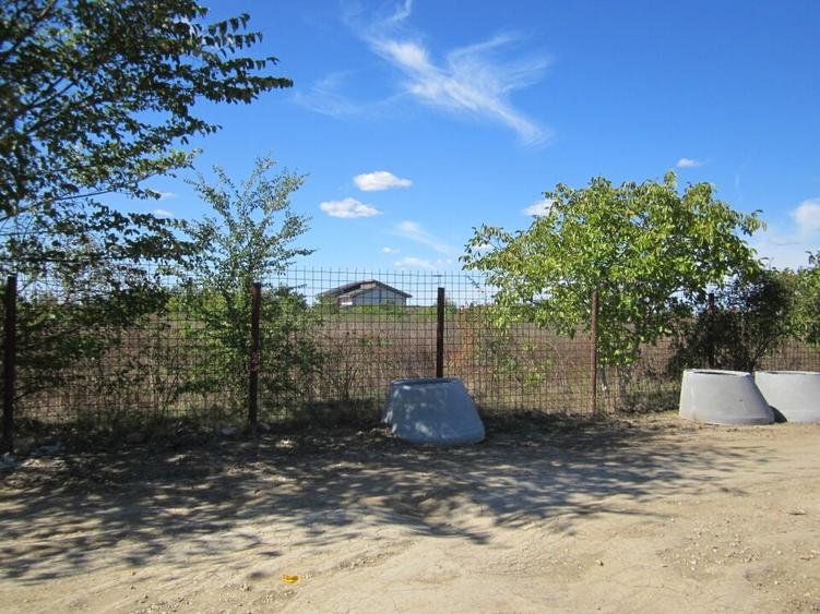 Domnesti Teghes-Padurarului - 12