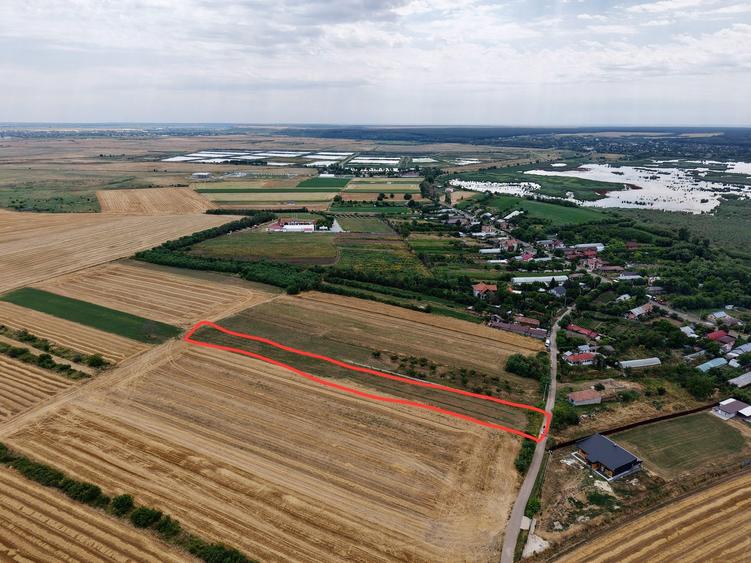 Teren Budeni - Delta Comana - Giurgiu - 7