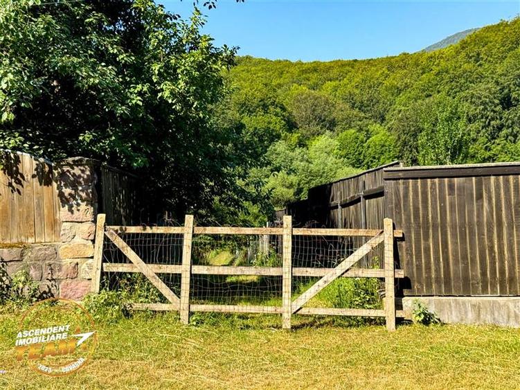 FILM! Teren extravilan pe 2.737mp,zona pretioasa,acces facil,Dobarlau,Covasna - 11