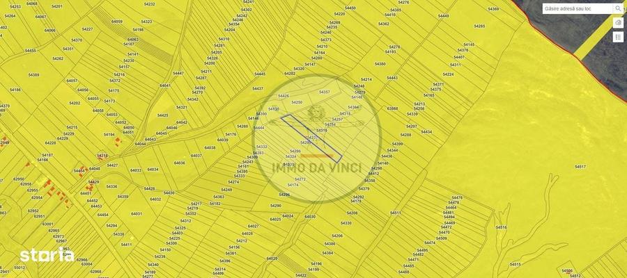 Pachet investitie terenuri Borsa Cluj 37.839 mp | 12.039 mp intravilan - 4