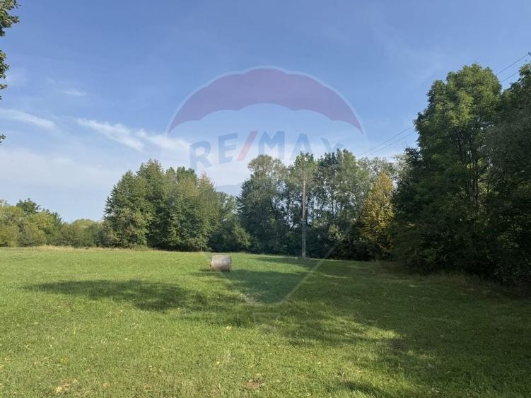 Teren 10.000 mp Calatele – Apuseni, langa rau, ideal investitie turism - 5