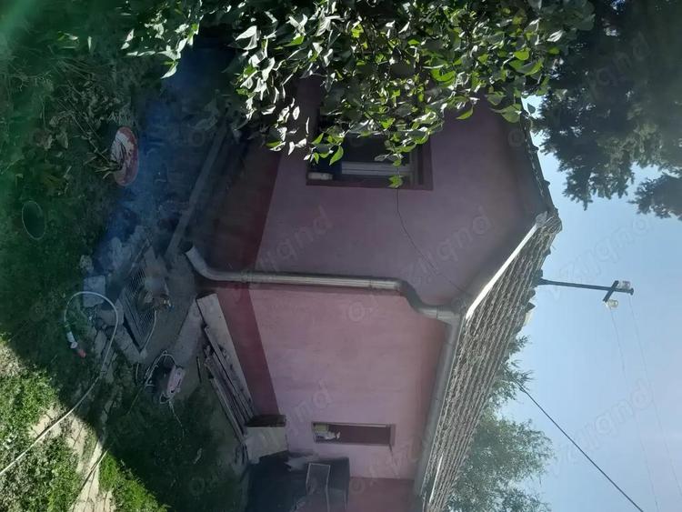 Vind Casa in Serbia 10 km de grani?a cu Jimbolia - 3