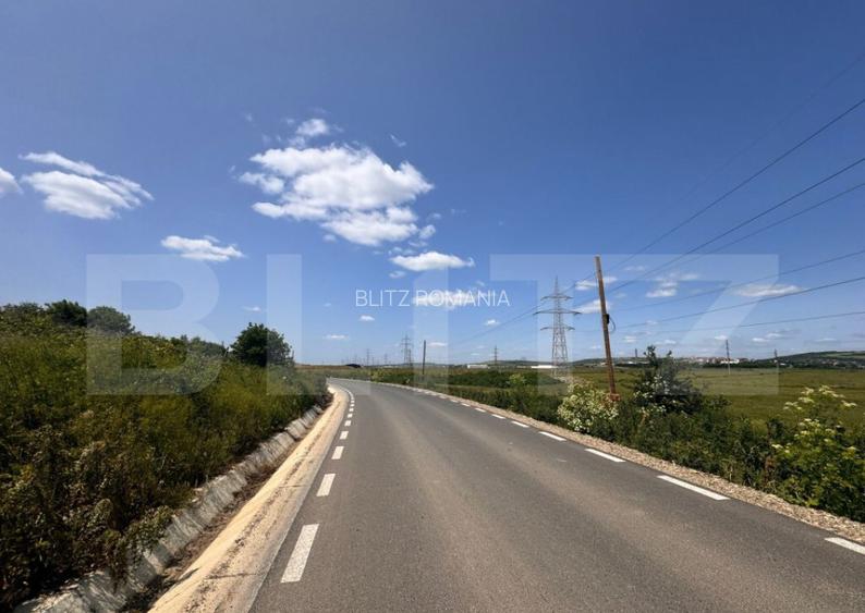 Teren intravilan, 5000mp, Uricani