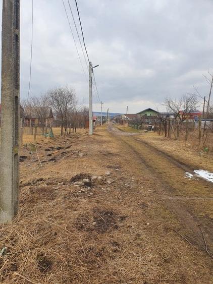 Teren Construcții extravilan de 10000 mp, în Bod - 4