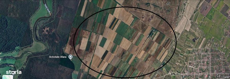 Teren in Giroc pentru investitori - 1