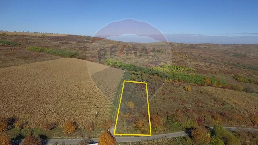 Teren Padureni (Chinteni), intravilan, parcelabil - 3