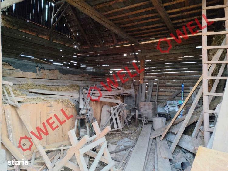 Proprietate cu 2 case de vanzare in Tamasfalau! - 5