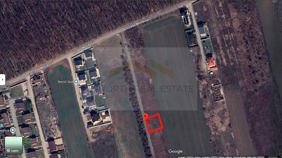 Teren 600 mp str Molidului langa padure - 2
